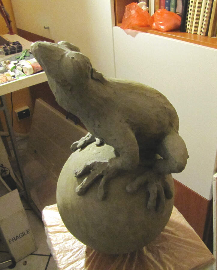 STATUA RANA