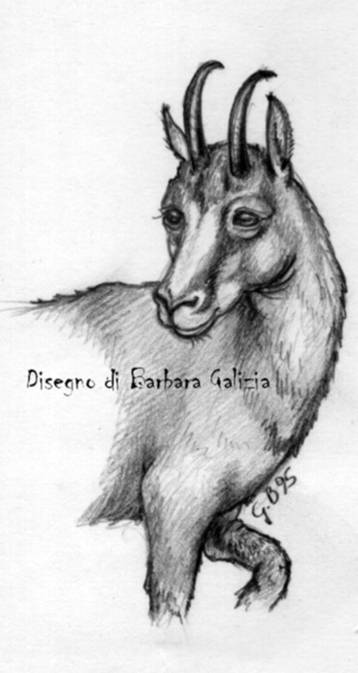 disegni a matita