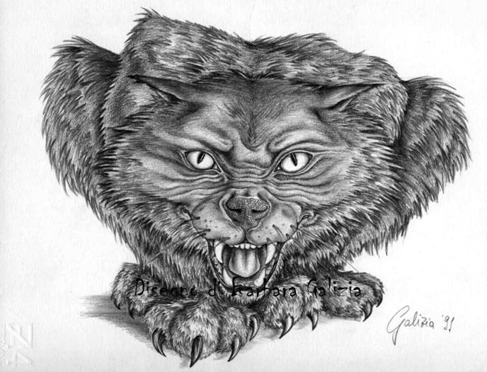 disegni a matita