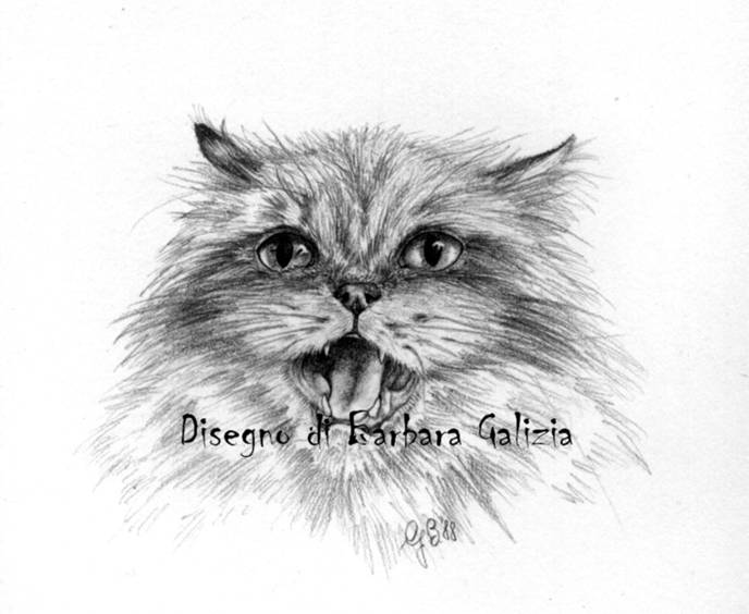 disegni a matita