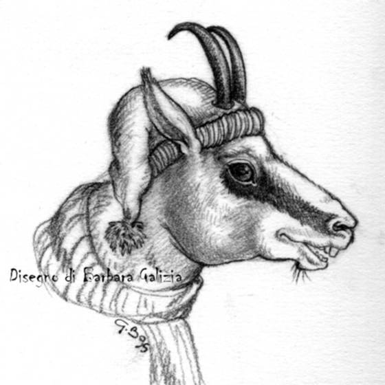 disegni a matita