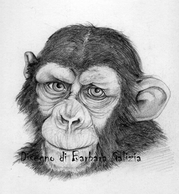 disegni a matita