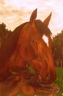 quadro a olio