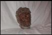 SCULTURA