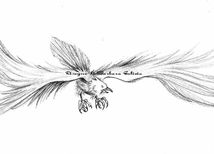 disegni a matita