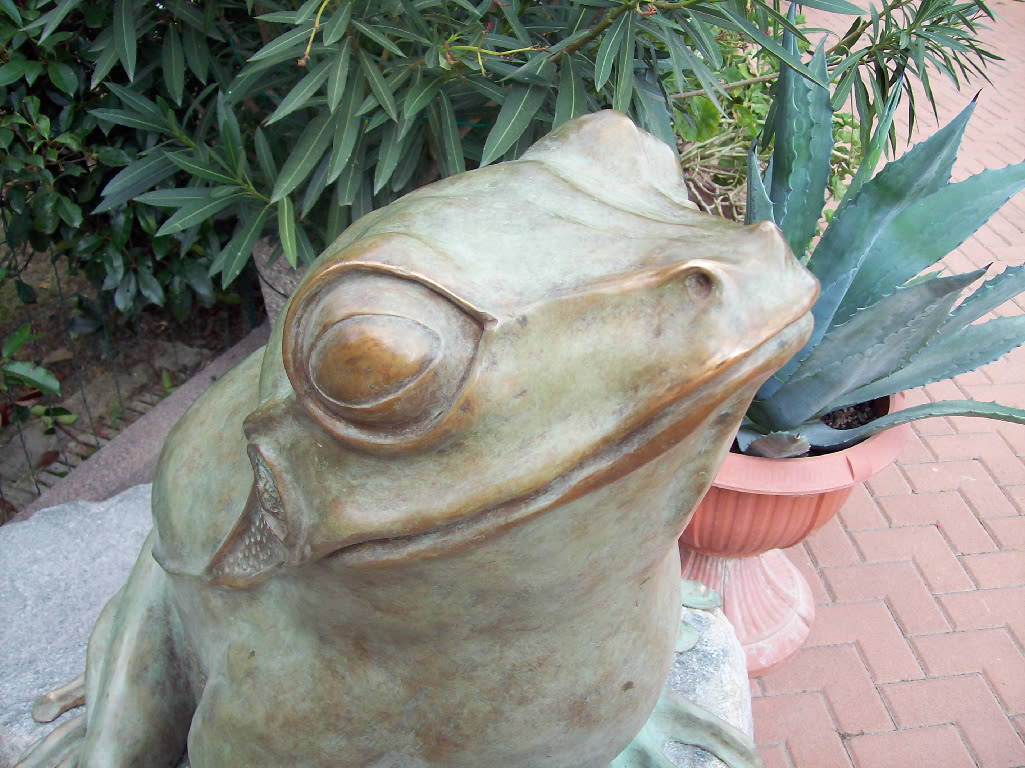 STATUA RANA